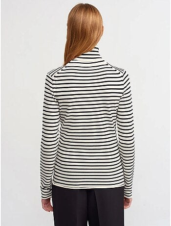 Pull femme rayé en maille côtelée à col roulé dilvin