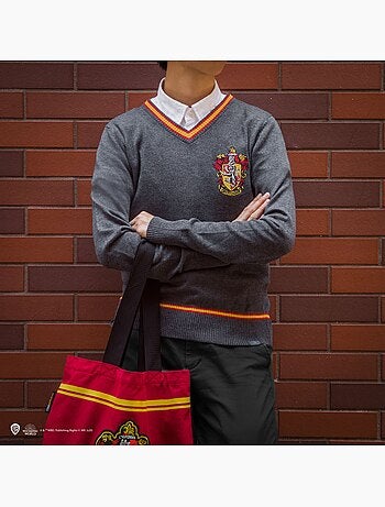 Pull gryffondor - harry potter