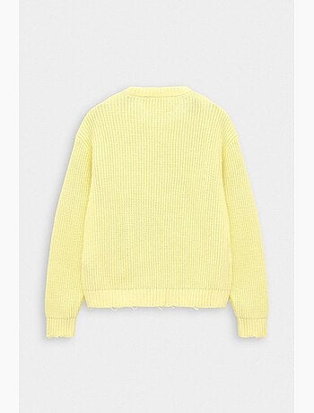 Pull homme giesto