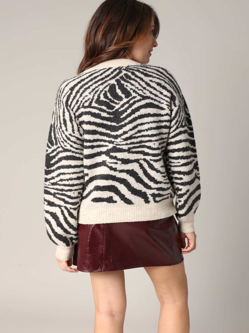 Pull imprimé zèbre en maille chaude et confortable 'Deeluxe' Noir - Kiabi