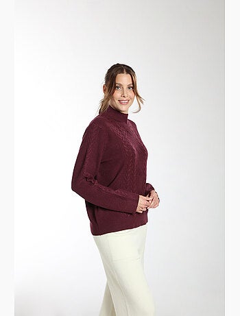 Pull Jaft | Gerard Pasquier Avec Col Cheminée | Gerard Pasquier