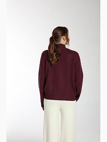 Pull Jaft | Gerard Pasquier Avec Col Cheminée | Gerard Pasquier