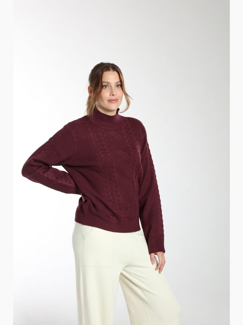 Pull Jaft  | Gerard Pasquier Avec Col Cheminée | Gerard Pasquier Bordeaux - Kiabi