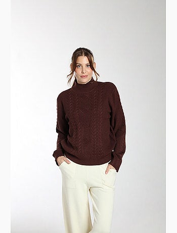 Pull Jaft | Gerard Pasquier Avec Col Cheminée | Gerard Pasquier