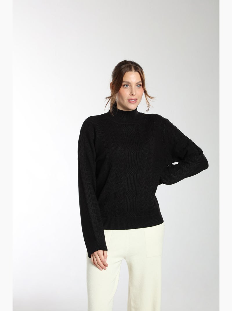 Pull Jaft  | Gerard Pasquier Avec Col Cheminée | Gerard Pasquier Noir - Kiabi
