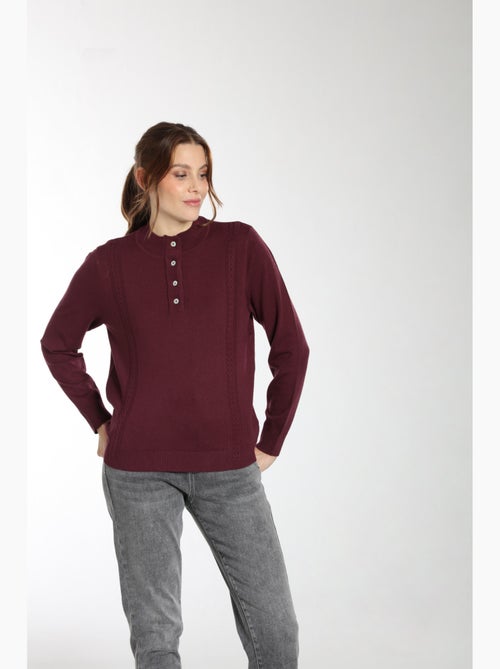 Pull Lady  | Gerard Pasquier Avec Col Pattes De Boutonnière | Gerard Pasquier - Kiabi