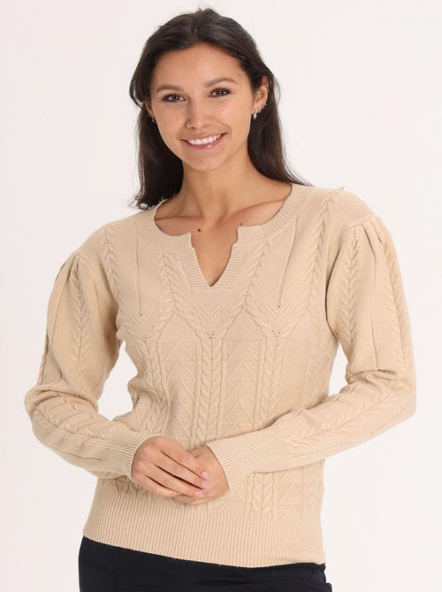 Pull LOUA Camel Pull plongeant - Kiabi