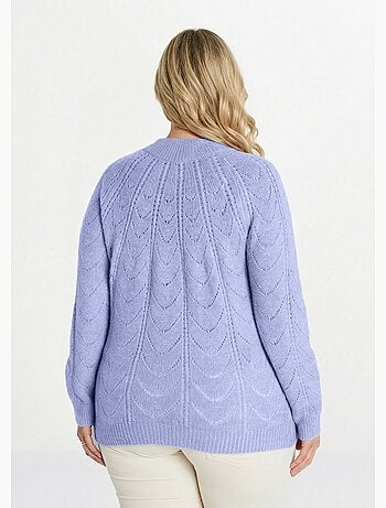 Pull maille chinée ajourée col rond - Afibel