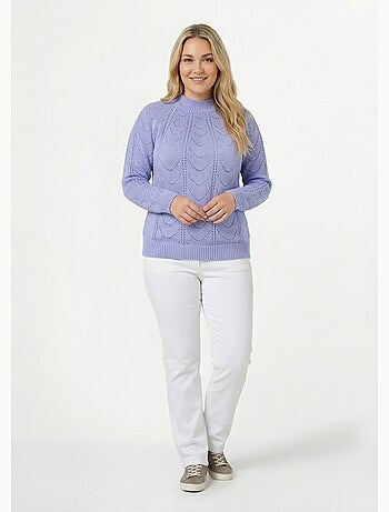 Pull maille chinée ajourée col rond - Afibel