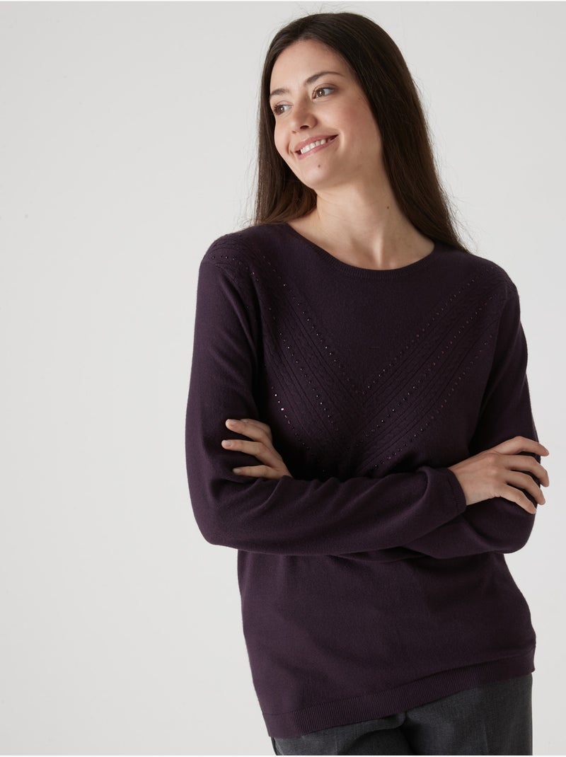 Pull maille fantaisie détails rivets - DAXON Violet prune - Kiabi