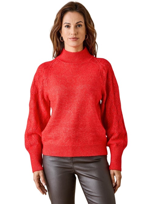 Pull manches fantaisie col montant - DAXON - Kiabi