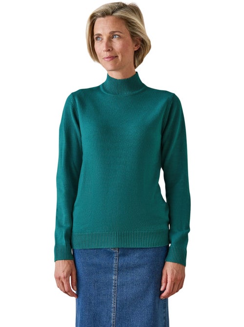 Pull manches longues col montant - DAXON - Kiabi