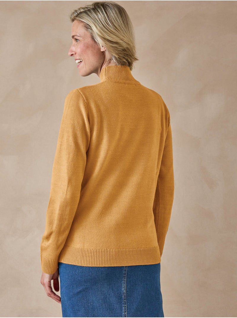 Pull manches longues col montant - DAXON Miel - Kiabi
