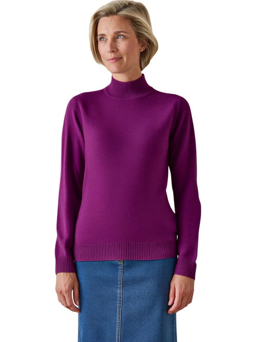 Pull manches longues col montant - DAXON - Kiabi