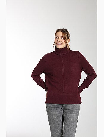 Pull Mina | Gerard Pasquier Avec Col Roulé | Gerard Pasquier