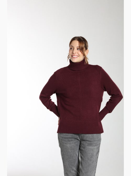 Pull Mina  | Gerard Pasquier Avec Col Roulé | Gerard Pasquier - Kiabi