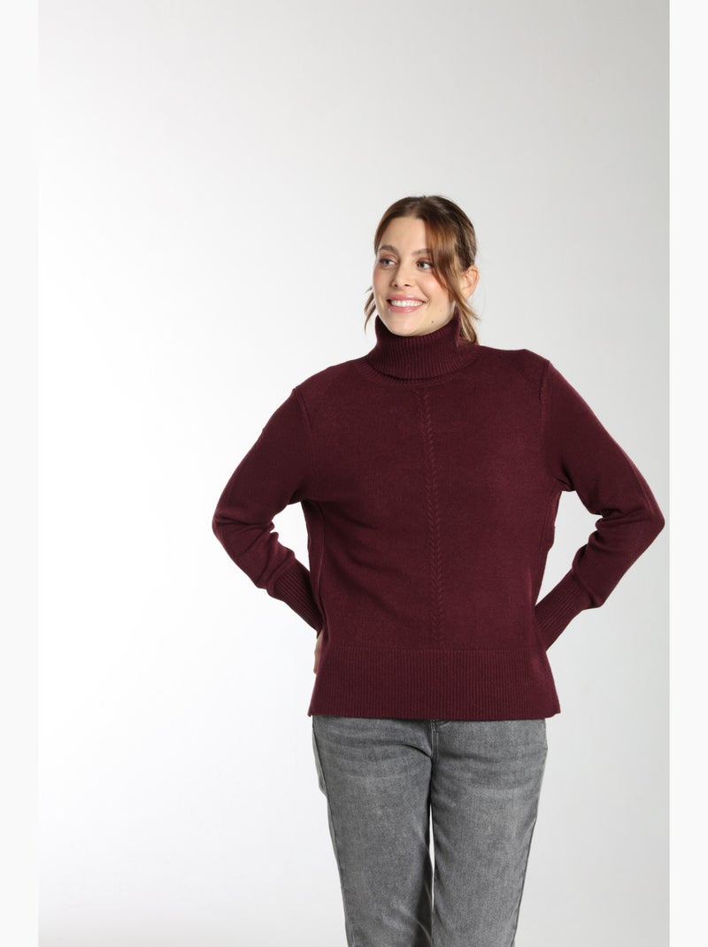 Pull Mina  | Gerard Pasquier Avec Col Roulé | Gerard Pasquier Bordeaux - Kiabi