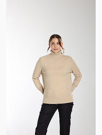 Pull Mina | Gerard Pasquier Avec Col Roulé | Gerard Pasquier