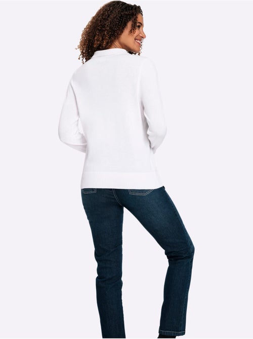 Pull polo pur coton - taille standard - witt - Kiabi Pull polo pur coton - taille standard - witt - Kiabi