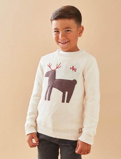 Pull noel blanc homme