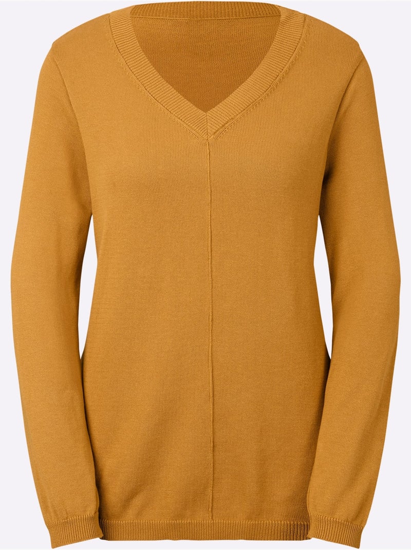Pull tricoté en coton pima col en v et manches longues - taille standard - witt Curry - Kiabi