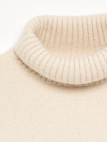 Pull uni à col roulé
