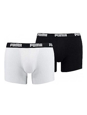 Puma - Boxers BASIC