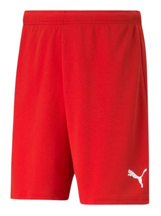 Puma - Short de jogging TEAMRISE