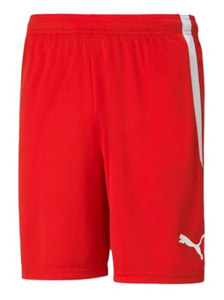 Puma - Short TEAM LIGA
