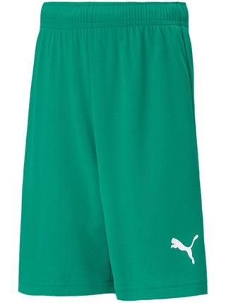 Puma - Short TEAMRISE