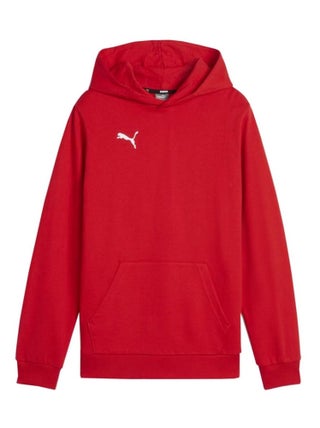 Puma - Sweat à capuche TEAM GOAL CASUAL