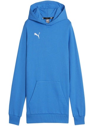 Puma - Sweat à capuche TEAMGOAL