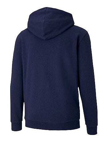 Puma - Sweat à capuche TEAMGOAL