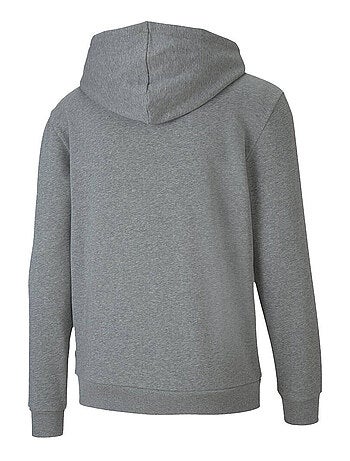 Puma - Sweat à capuche TEAMGOAL