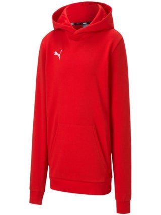 Puma - Sweat à capuche TEAMGOAL