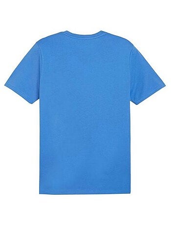 Puma - T-shirt TEAM GOAL CASUALS