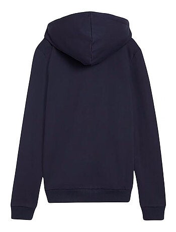 Puma - Veste à capuche TEAM GOAL CASUALS