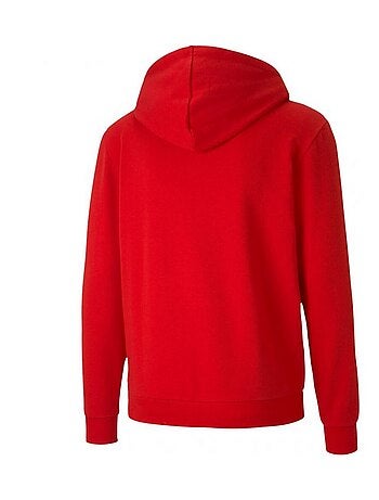 Puma - Veste à capuche TEAM GOAL