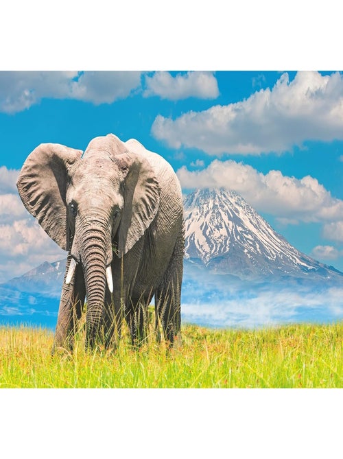 Puzzle - Eléphant d'Afrique - Kiabi