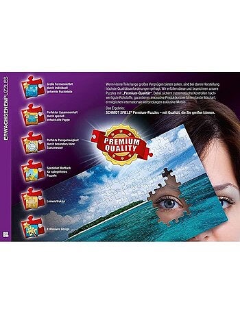 Puzzle - schmidt spiele - poussières de rêve - fantastique - 1000 pièces - multicolore