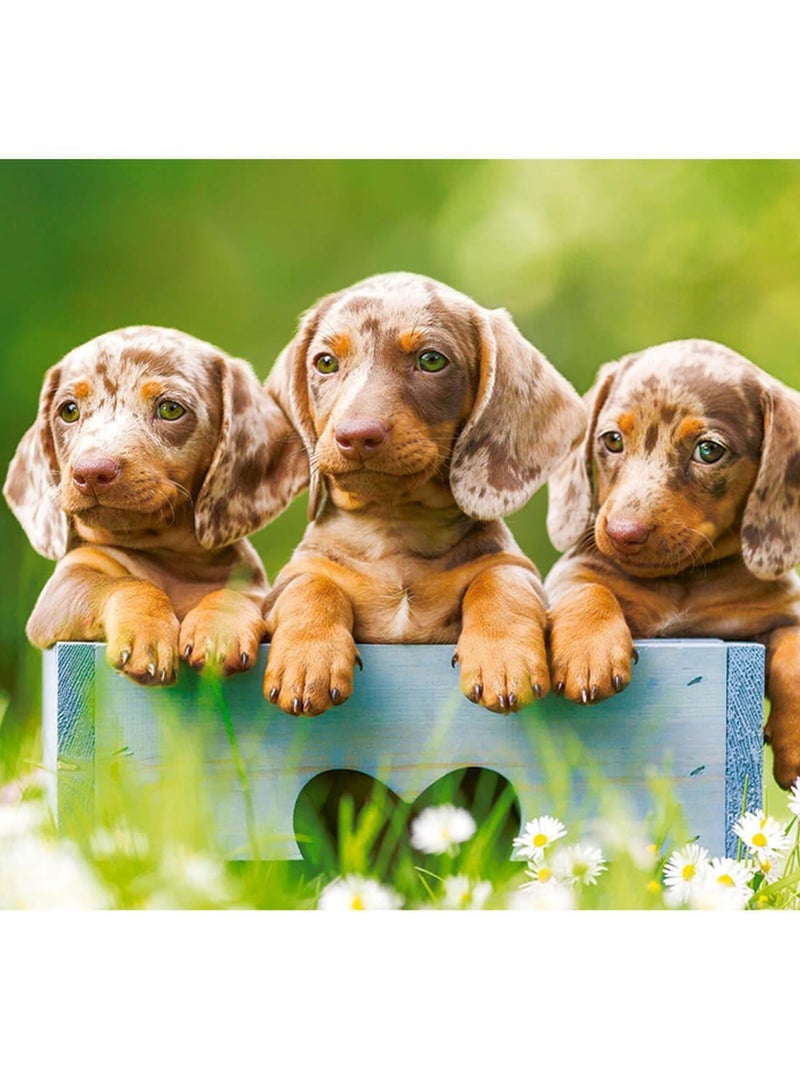 Puzzle 100 pièces : Mignons teckels N/A - Kiabi