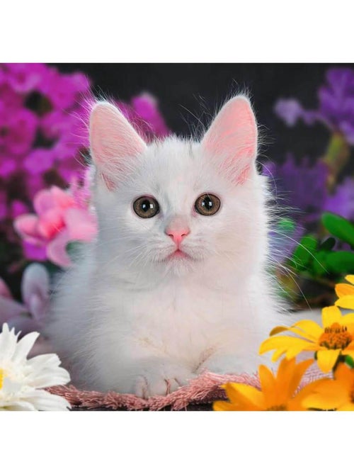 Puzzle 100 pièces XXL :  Chat à paillettes (Collection Paillettes) - Kiabi