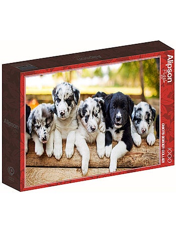 Puzzle 1000 Pièces Chiot Border Collier - Fabriqué en France