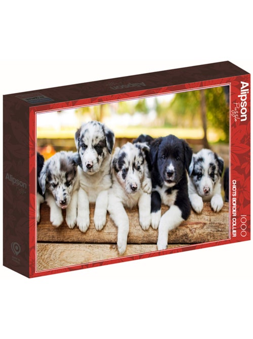 Puzzle 1000 Pièces Chiot Border Collier - Fabriqué en France - Kiabi