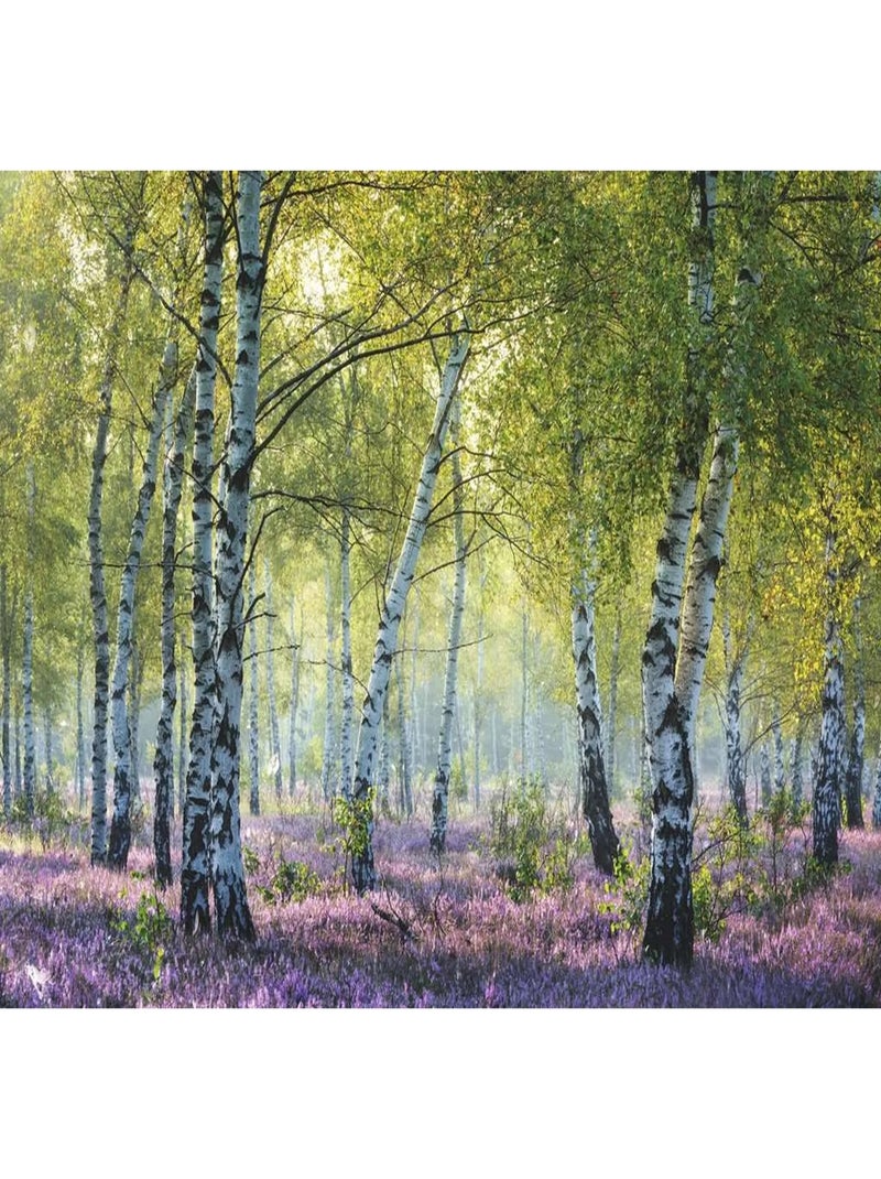 Puzzle 1000 pièces Forêt de bouleaux N/A - Kiabi