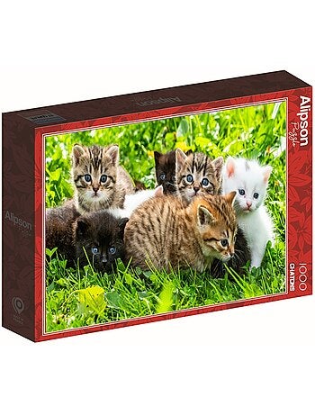 Puzzle 1000 Pièces Groupe De Chatons - Fabriqué en France