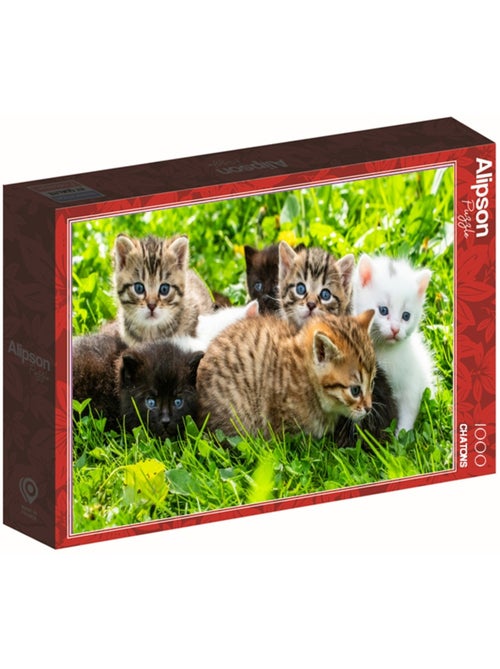 Puzzle 1000 Pièces Groupe De Chatons - Fabriqué en France - Kiabi