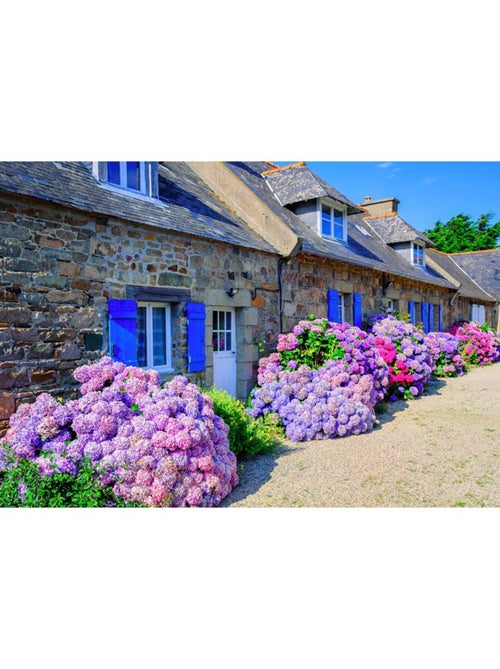 Puzzle 1000 Pièces Maison Traditionnelle Bretagne - Fabriqué en France - Kiabi