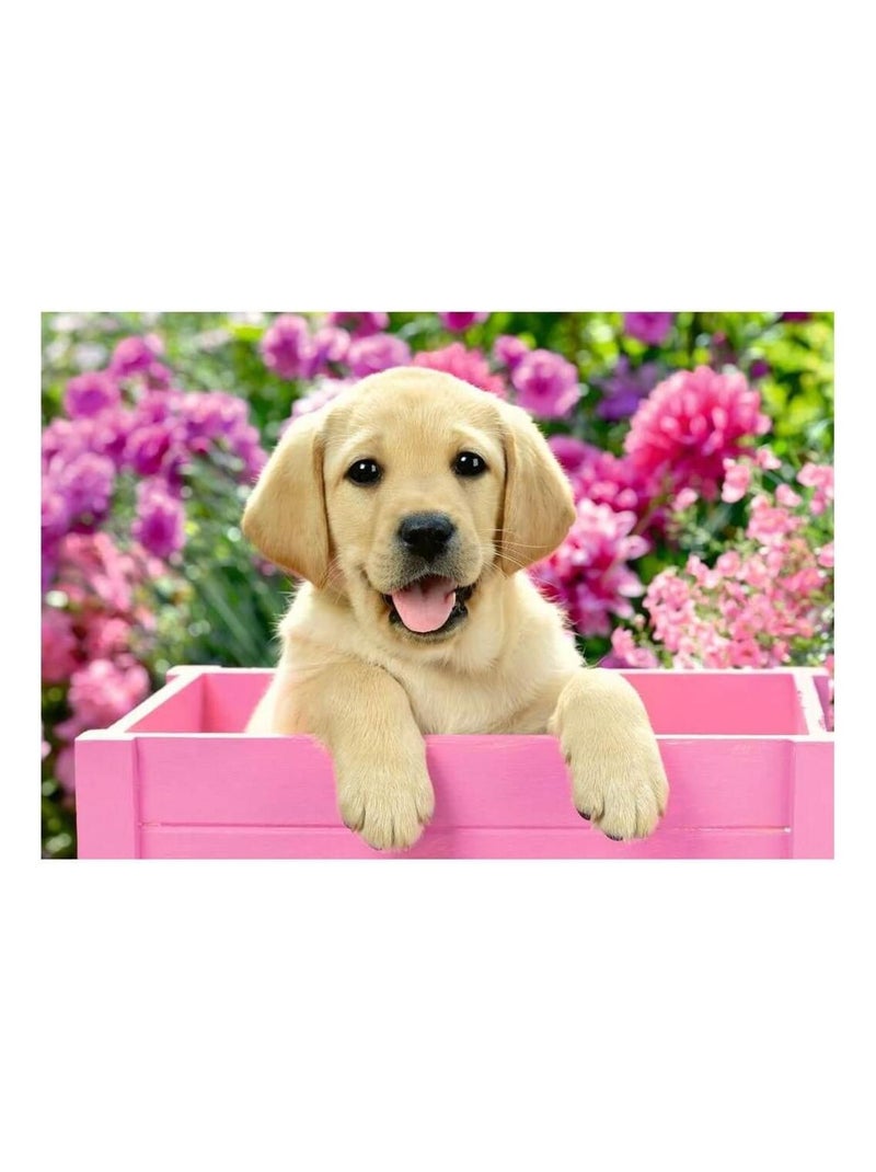 Puzzle 2 x 24 pièces : amis tout doux N/A - Kiabi