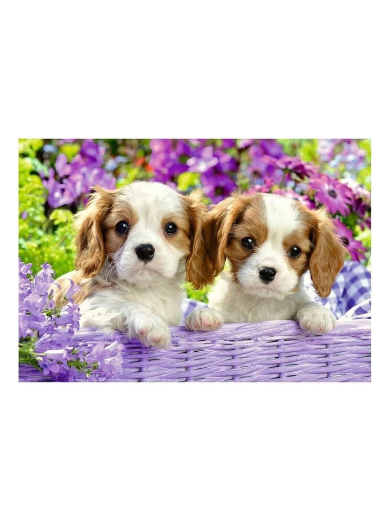 Puzzle 2 x 24 pièces : amis tout doux N/A - Kiabi